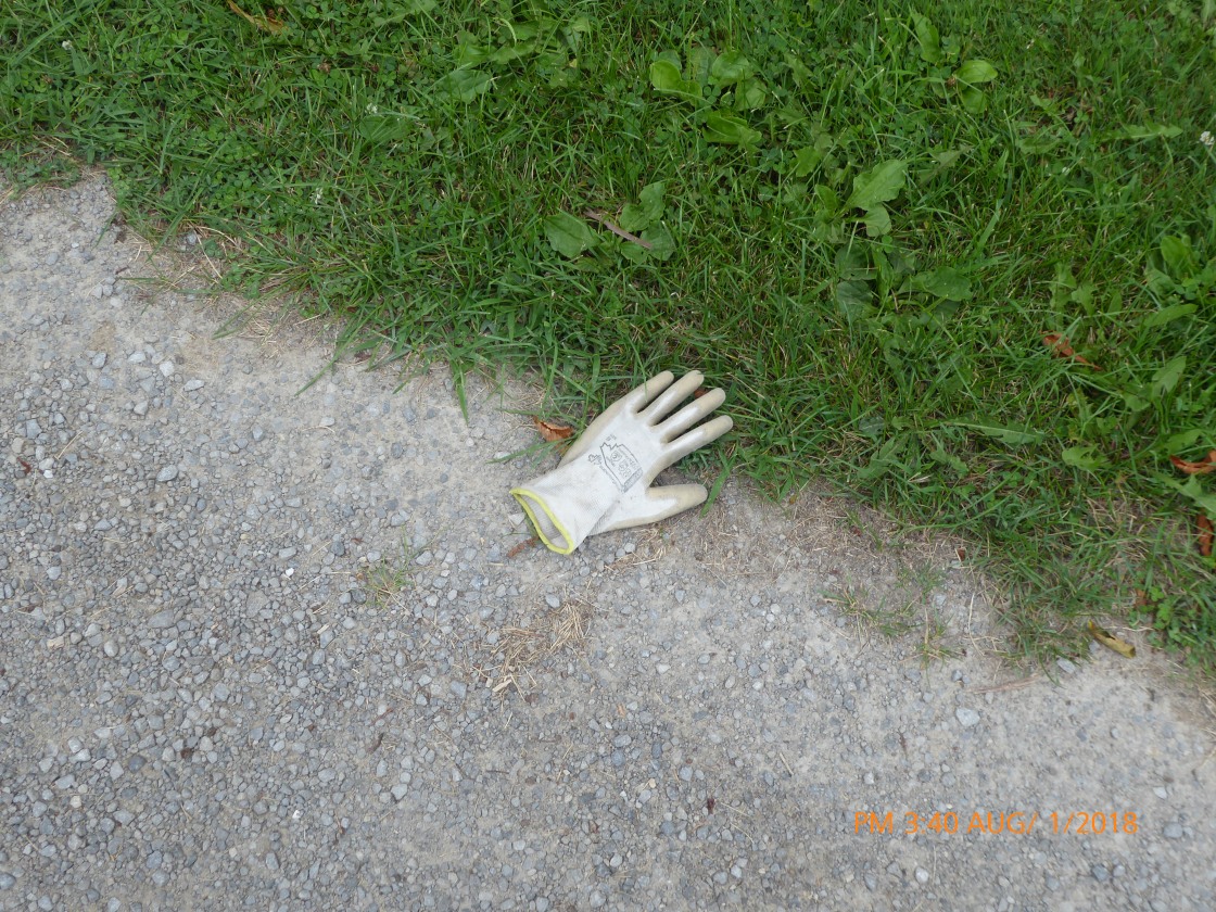 Single glove left behind